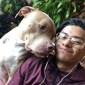 Meet your Posher, David